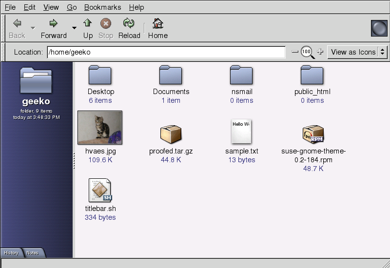 Nautilus Showing a Home Directory